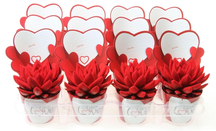 <h4>Potcover Little Love Velvet Red</h4>