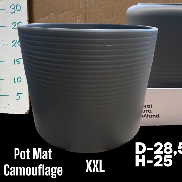 <h4>POT H%</h4>