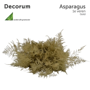 ASP 1e veren Gold 45cm box x50