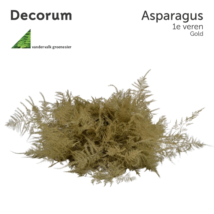 ASP 1e veren Gold 45cm box x50