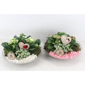 Arr2 Pl - Glas Schaal 27cm - Roze/wit