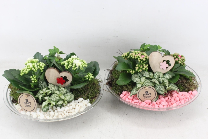 <h4>arr2 PL - Glas schaal 27cm - roze/wit</h4>