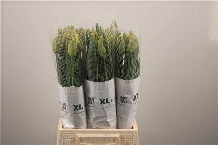 <h4>Tu En Dordogne</h4>