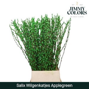 Salix Katjes L120 Apple green