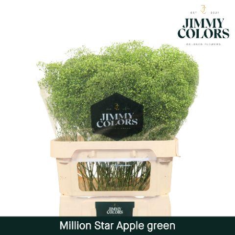 <h4>Gyps Million Star L80 Apple green</h4>