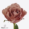 Rosa large moccachino