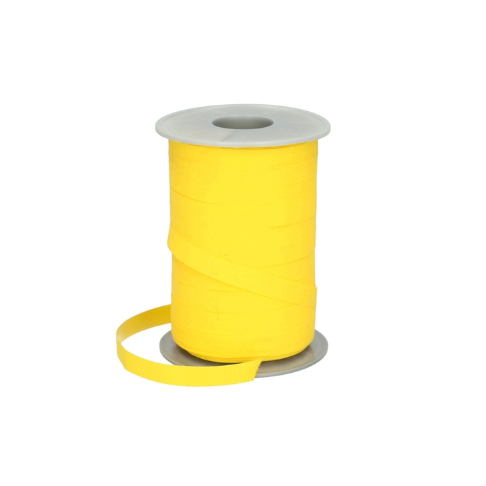 <h4>Ribbon Matt 10mm 200m 605</h4>