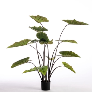 AF Philodend pot H137cm Green