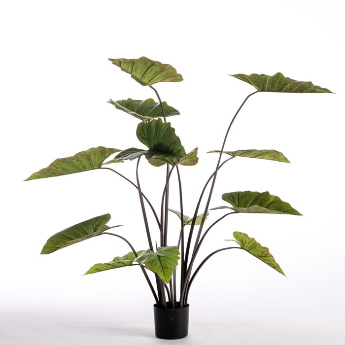 <h4>AF Philodend pot H137cm Green</h4>