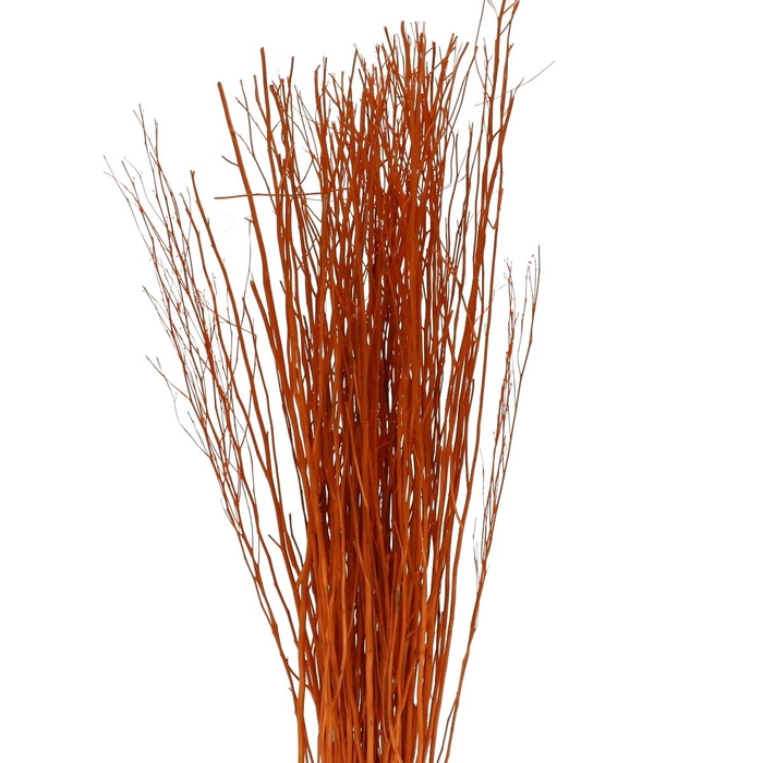 <h4>Yanagi branch 250g</h4>