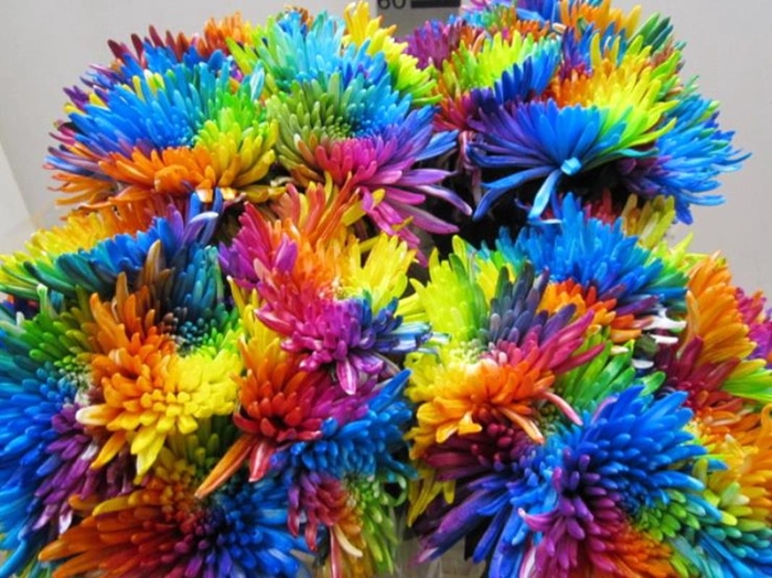 <h4>Chr G Topspin Rainbow</h4>