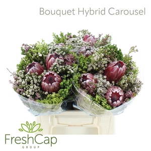 Bouquet Hybrid Carousel