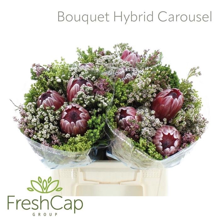 <h4>Bouquet Hybrid Carousel</h4>