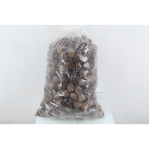 Pine Cone Natural (Bag 5kg)