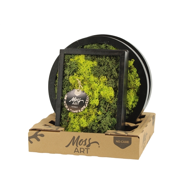<h4>90786: Moss Art arrangement D27</h4>
