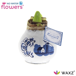 No Water Flowers Waxz® Delfts Blauw Windmill