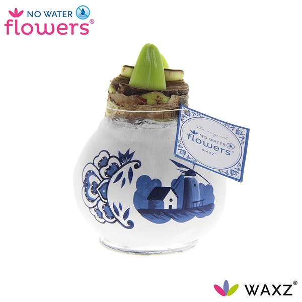 <h4>No Water Flowers Waxz® Delfts Blauw Windmill</h4>