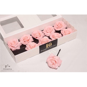 Roos Wax Zijde 110 Apricot (oceana)