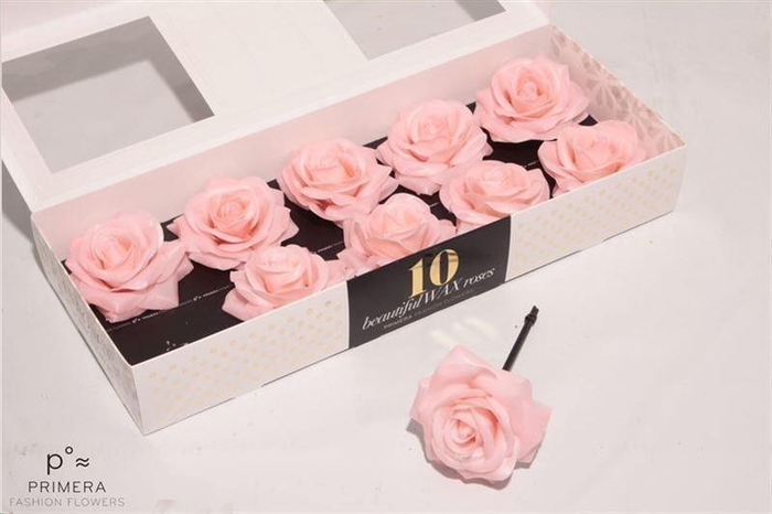 <h4>Roos Wax Zijde 110 Apricot (oceana)</h4>