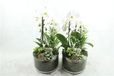 <h4>1803 Wit Cilinder Cascade</h4>