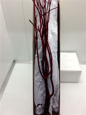 <h4>Mitsumata Flock Dark Red Bs</h4>