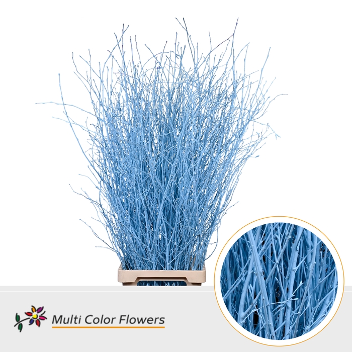<h4>Berk Blauw Licht</h4>