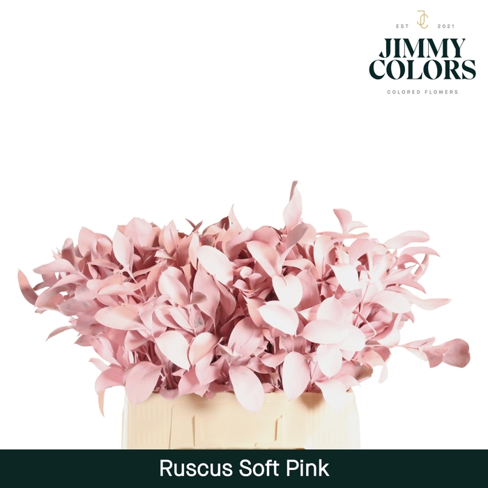 <h4>Ruscus L60 Klbh. Licht Roze</h4>