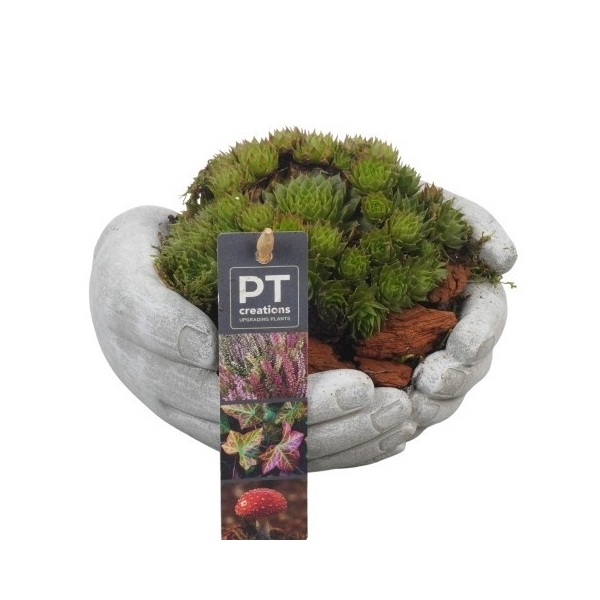 <h4>PTAH8601 Arrangement Allerheiligen in beton hand</h4>
