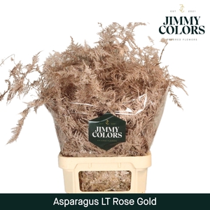 Asp lang getopt Rose gold