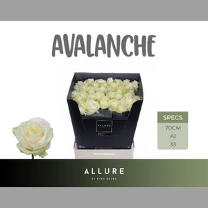 R Gr Avalanche+