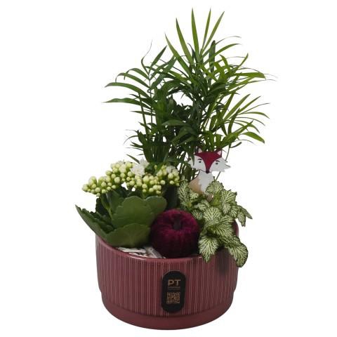 <h4>PTHI3208 Arrangement Autumn Indoor in keramiek schaal</h4>