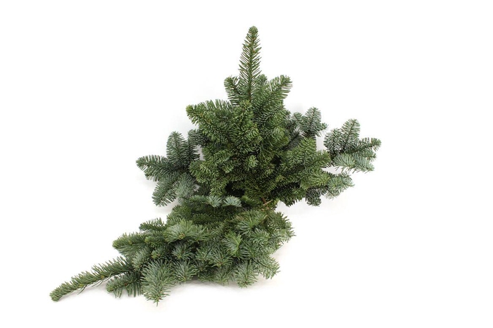 <h4>Nobilis Handbos 750 Gram</h4>