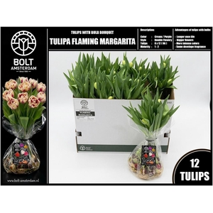 TU DU FLAMING MARGAR