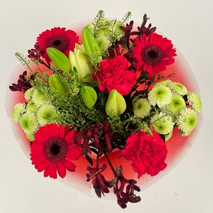 Bq Volume Voltage Red M