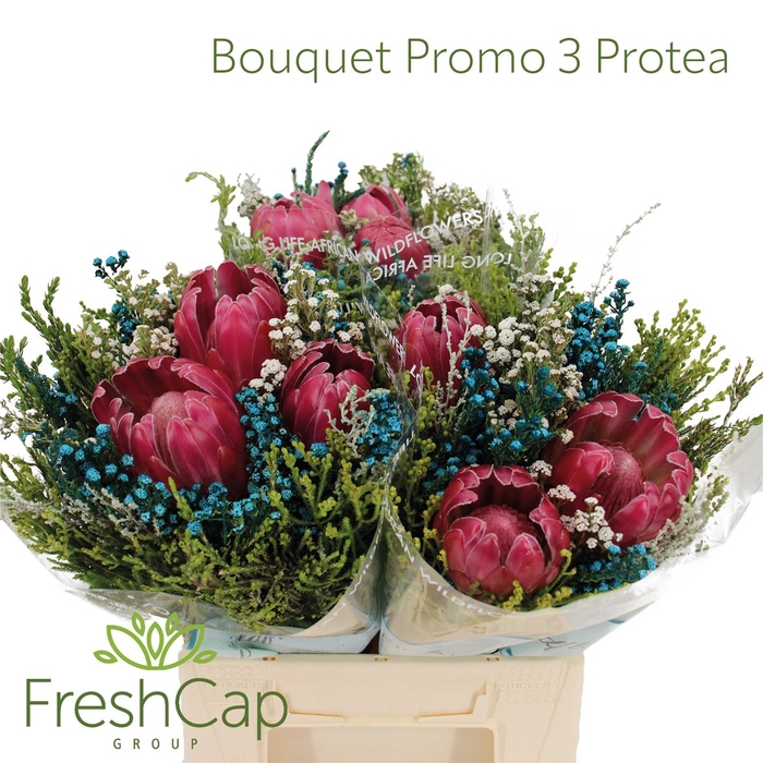 <h4>Bouquet Promo 3 Protea</h4>