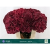 Hydr M Mag Dark Ruby