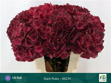 Hydr M Mag Dark Ruby