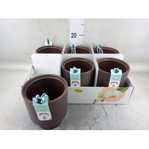 Pot   ...Keramische H%