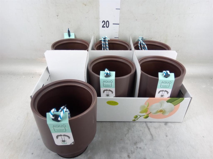 <h4>Pot   ...Keramische H%</h4>