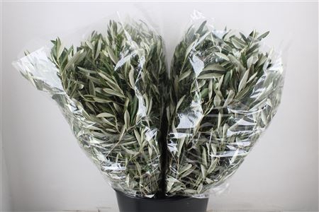 OLIJF 250GRAM P BUNCH