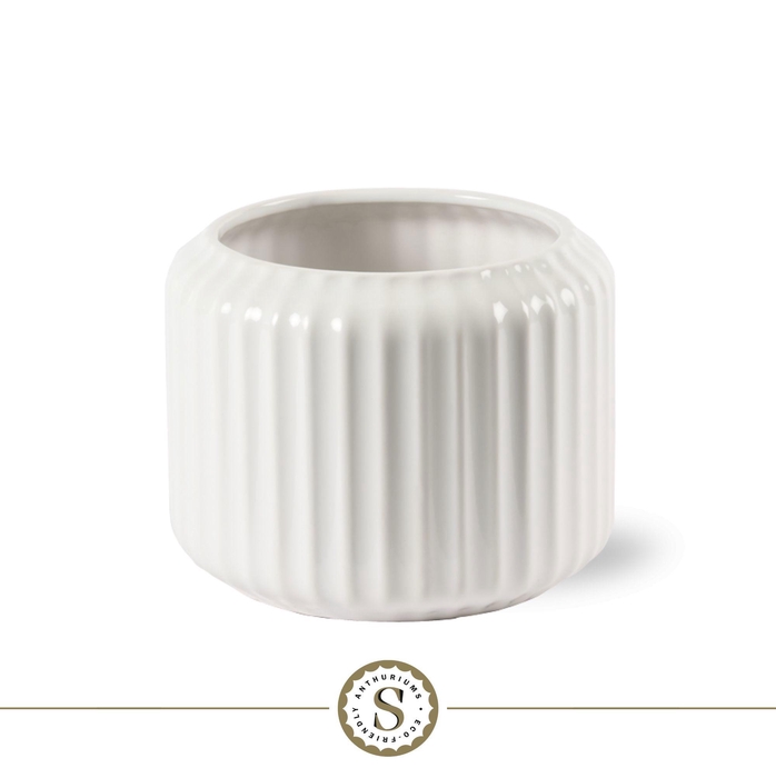 <h4>Creations) Bologna Keramiek White</h4>