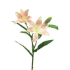 Lilium Buscar spray pink 53cm