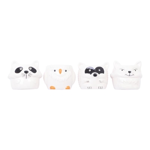 999138 Wildlife P6