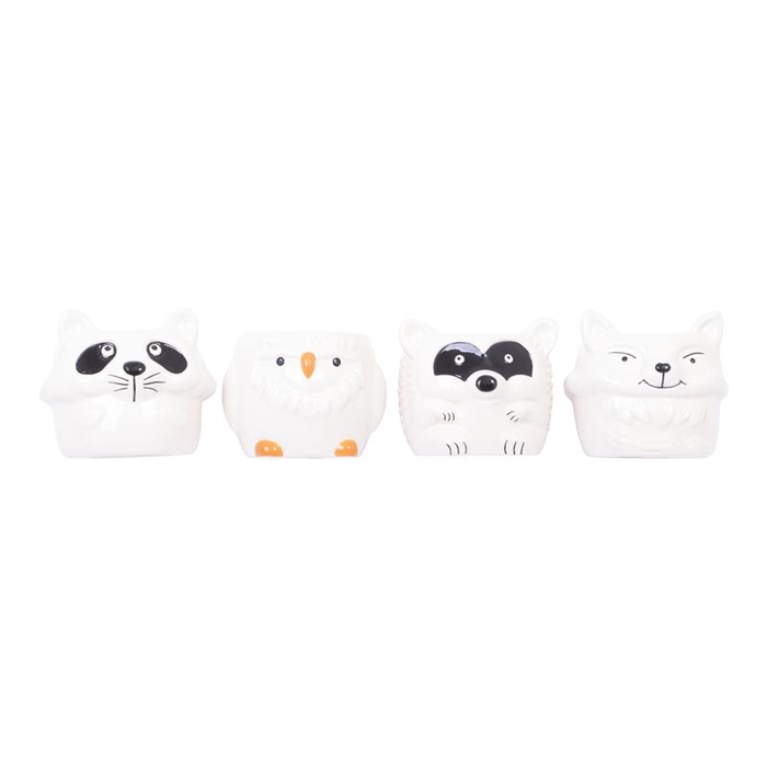 <h4>999138 Wildlife P6</h4>