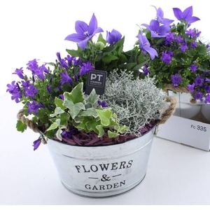 ARR TUINPLANTEN
