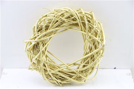 <h4>Wr Cornus 30cm Gold</h4>