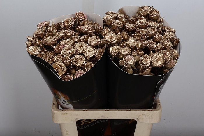 <h4>Wax-Rozen Wax Tros Goud</h4>