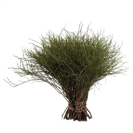 <h4>HEIDELBEER PER TAK</h4>