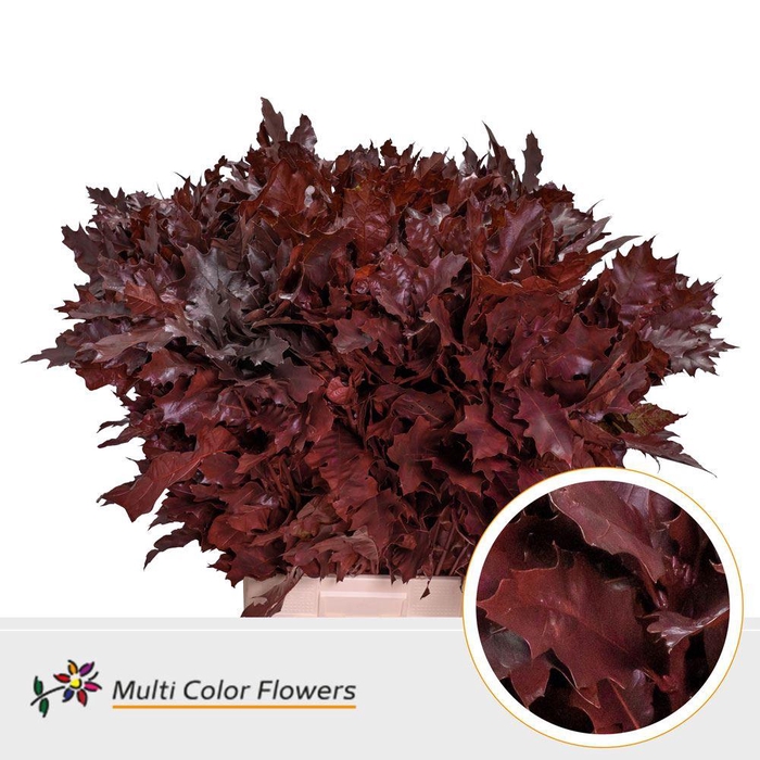 <h4>Quercus rubra colored RED</h4>