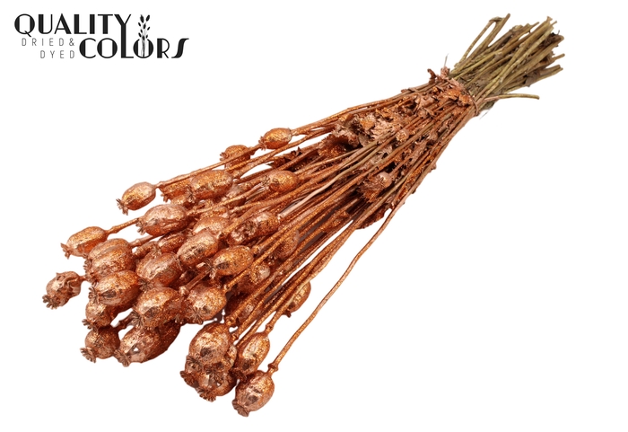 Papaver per bunch Copper + Glitter